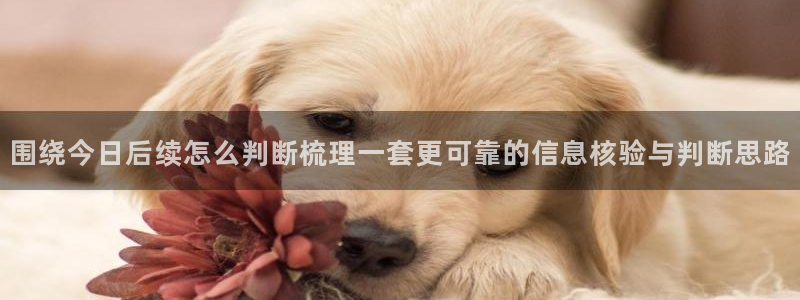黑料爆料网页入口：围绕今日后续怎么判断梳理一套更可靠的信息核验与判断思路