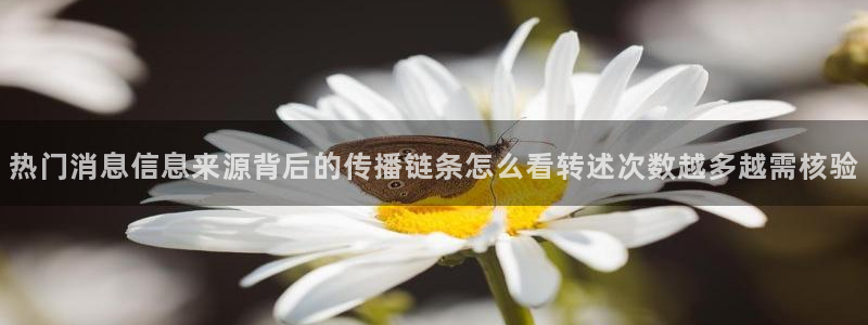 黑料爆料热门内容:热门消息信息来源背后的传播链条怎么看转述次数越多越需核验