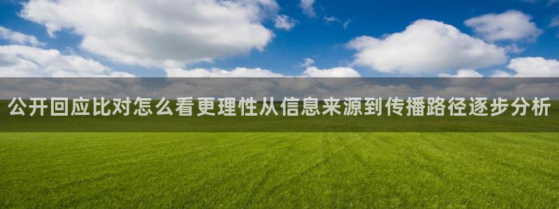 热点爆料话题:公开回应比对怎么看更理性从信息来源到传播路径逐步分析