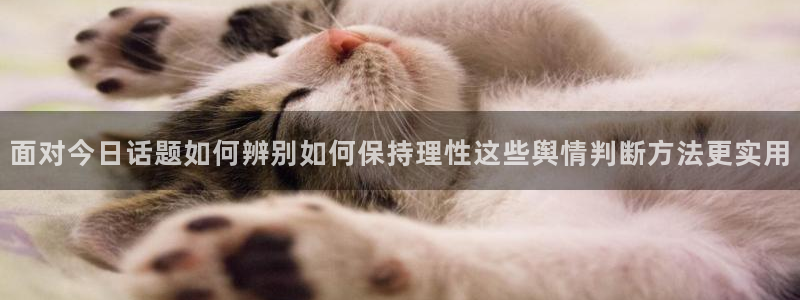 黑料爆料每日热点：面对今日话题如何辨别如何保持理性这些舆情判断方法更实用