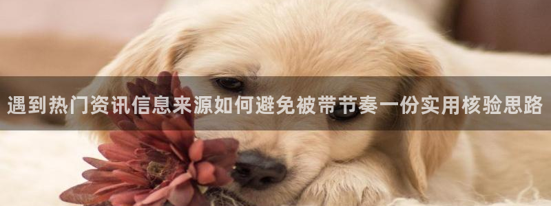 黑料爆料热门热搜