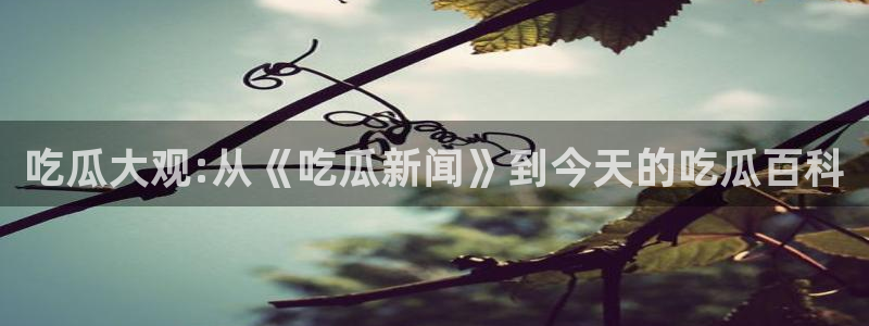 黑料爆料网页导航:吃瓜大观:从《吃瓜新闻》到今天的吃瓜百科