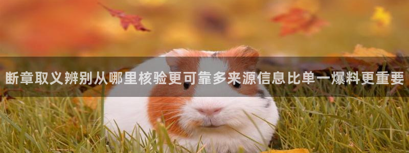 黑料爆料网络热点网