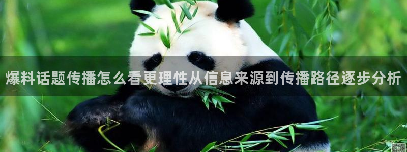 黑料爆料今日热点：爆料话题传播怎么看更理性从信息来源到传播路径逐步分析