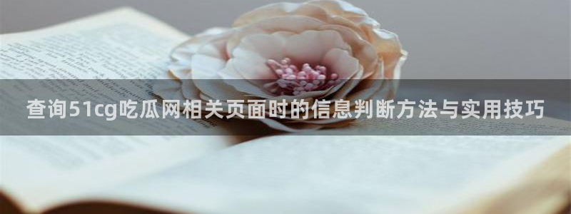 今日热点事件:查询51cg吃瓜网相关页面时的信息判断方法与实用技巧