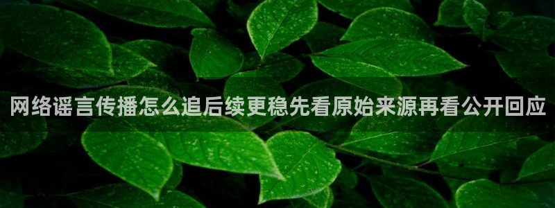 黑料爆料热点搜索:网络谣言传播怎么追后续更稳先看原始来源再看公开回应